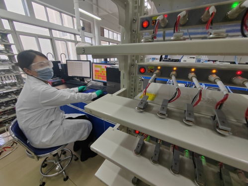 中國首創(chuàng)！洛陽牡丹殼變廢為寶，開啟鈉電池負(fù)極材料新紀(jì)元